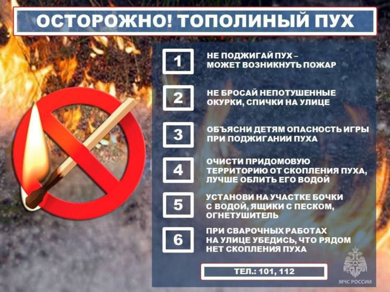 "Осторожно, тополиный пух!". "Осторожно, тополиный пух!".